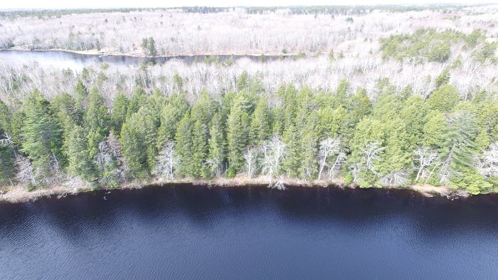 WentworthHalbinsel (47)